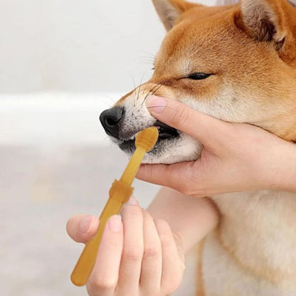 Brosse a dent chien