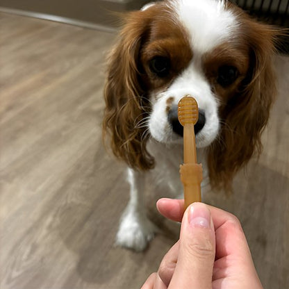 Brosse a dent chien