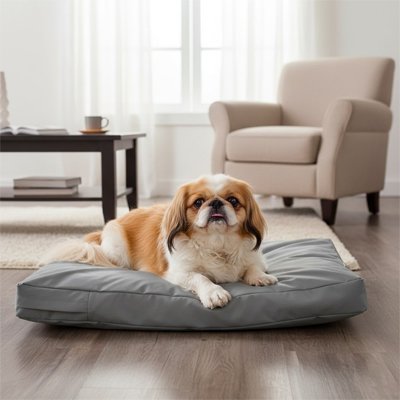 Coussin pour Chien 