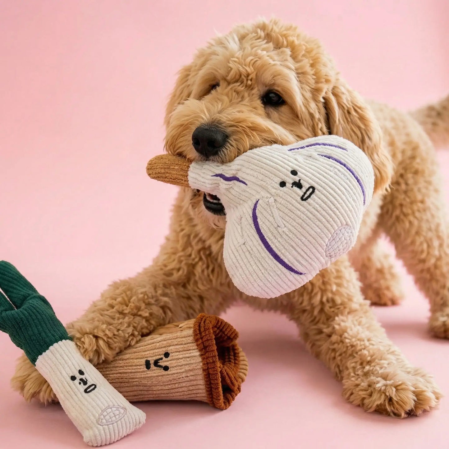 Peluche pour chien Champignon, poireau, ail | Ultra-résistante