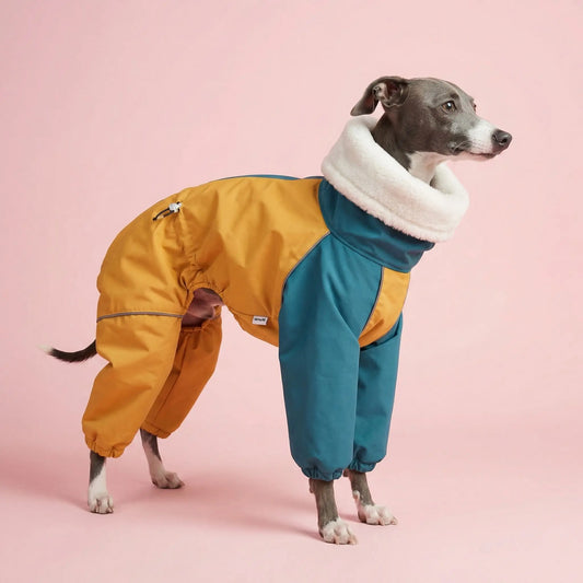 Imperméable pour chien | Tout-Temps