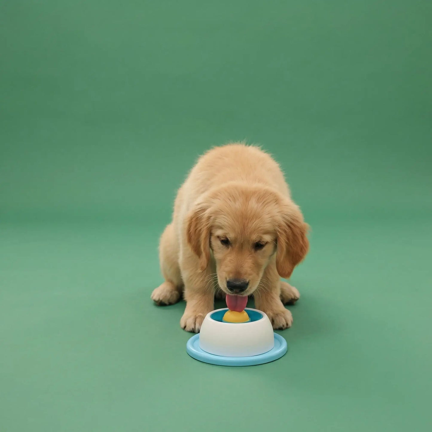 Jouet pour chien | Ultra-résistant