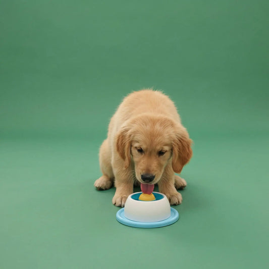 Jouet pour chien | Ultra-résistant