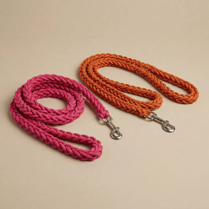 Laisse pour Chien | Robuste et Confortable