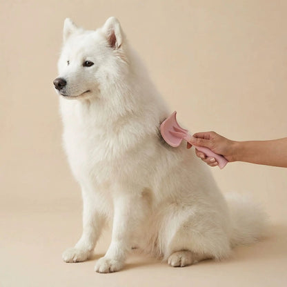 Brosse pour Chien poil long | DémêlEasy