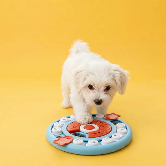Jouet pour chien | Ultra-Résistant