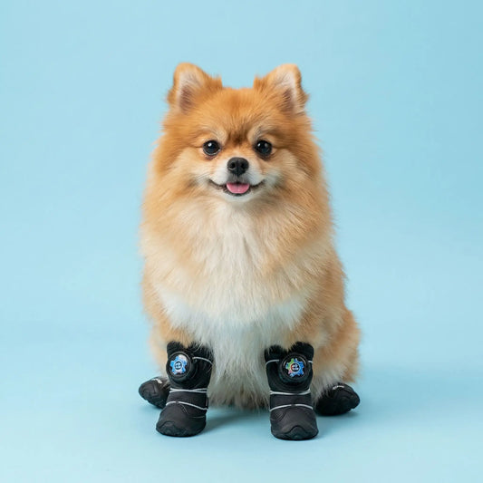 Chaussures pour chien | ImperPattes
