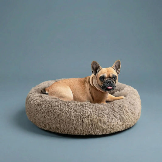 Panier pour chien Anti-stress | Confortable et Lavable