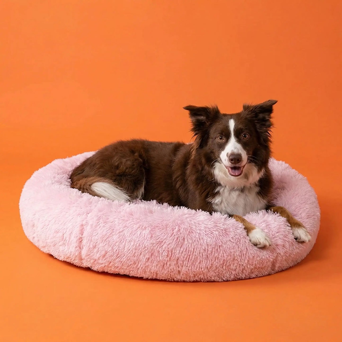 Panier pour chien Anti-stress | Confortable et Lavable