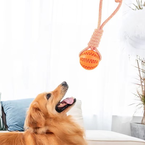Jouet chien