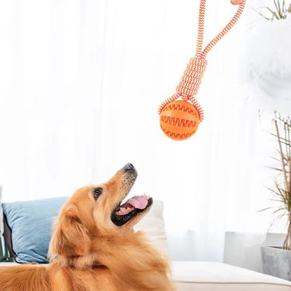 Jouet chien