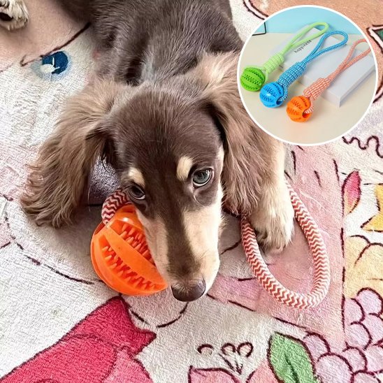 Jouet chien
