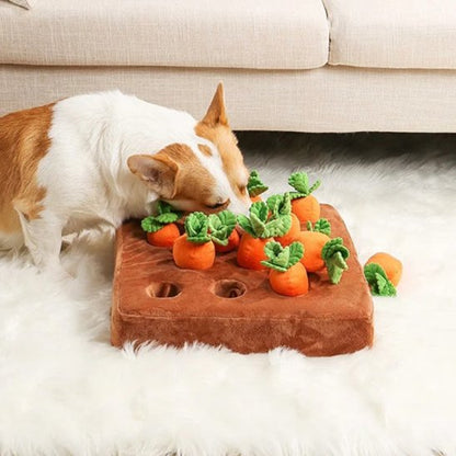 Jouet pour chien