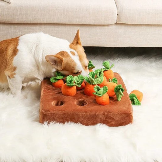 Jouet pour chien