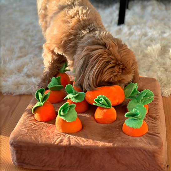 Jouet pour chien
