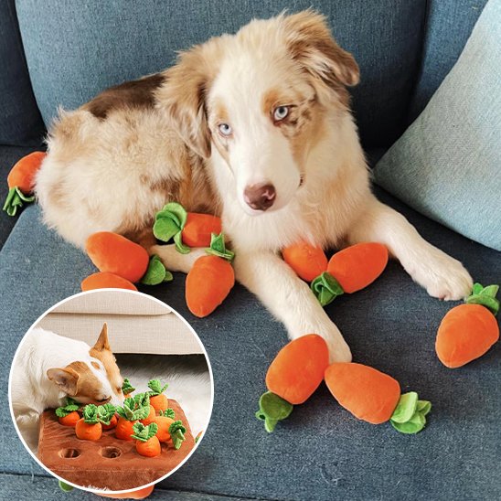 Jouet pour chien