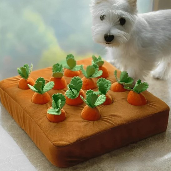 Jouet pour chien