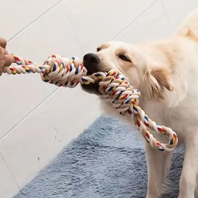 Jouet pour chien 