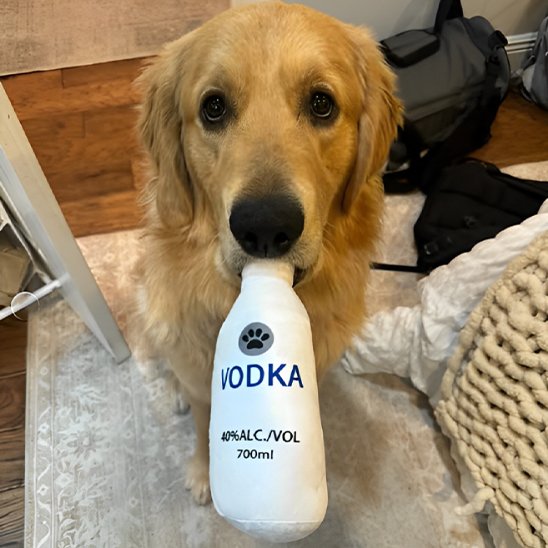 Jouet pour chien