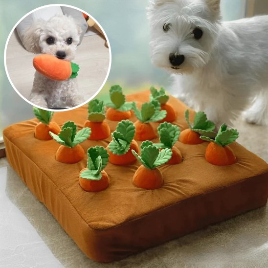 Jouet pour chien