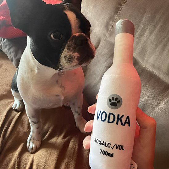 Jouet pour chien