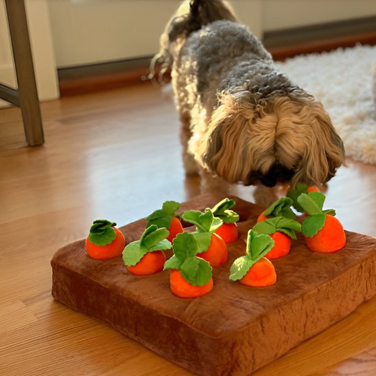 Jouet pour chien