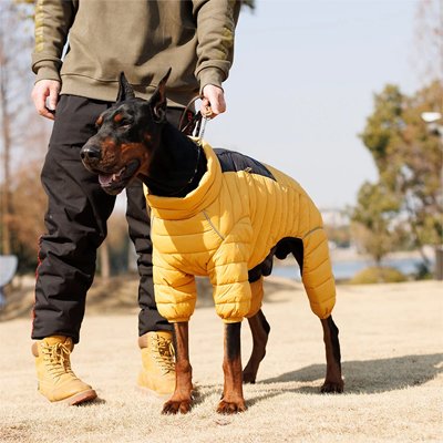 Manteau pour Chien 