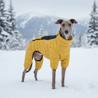 Manteau pour Chien 