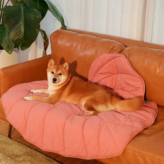 Tapis pour chien