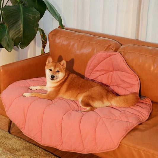 Tapis pour chien