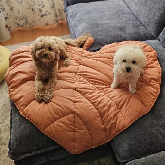 Tapis pour chien