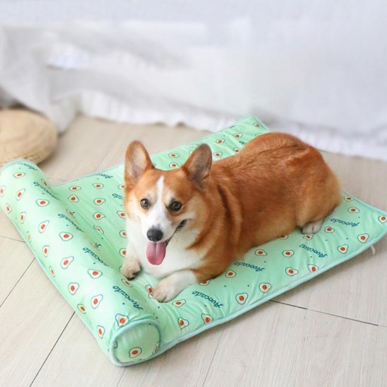 Tapis rafraichissant chien