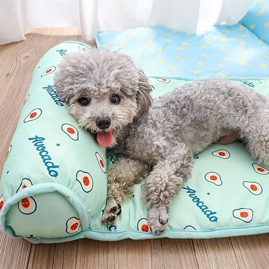 Tapis rafraichissant chien