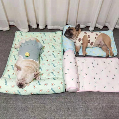 Tapis rafraichissant chien